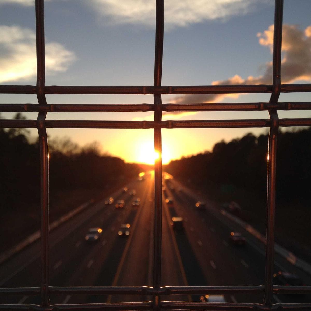 Websynix Team Working